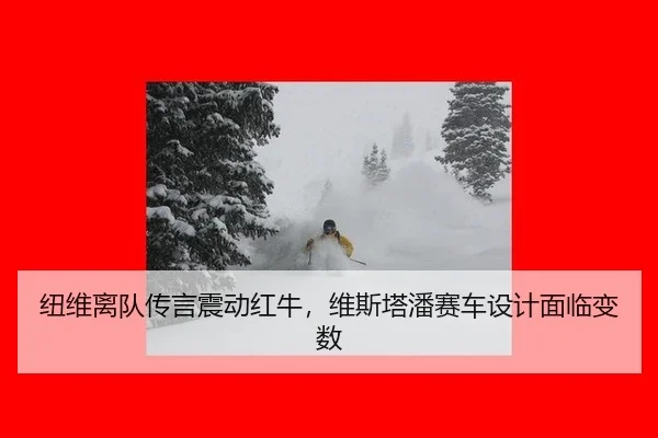纽维离队传言震动红牛，维斯塔潘赛车设计面临变数