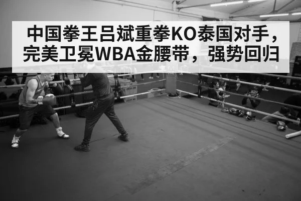 boxer training gym